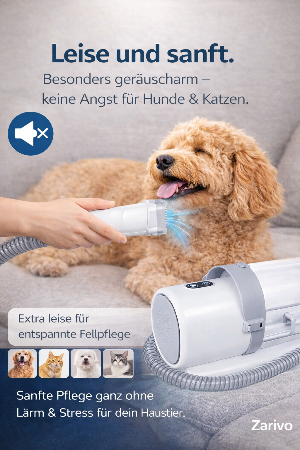 Hunde-Grooming-Kit mit Vakuum (2,5 L)
