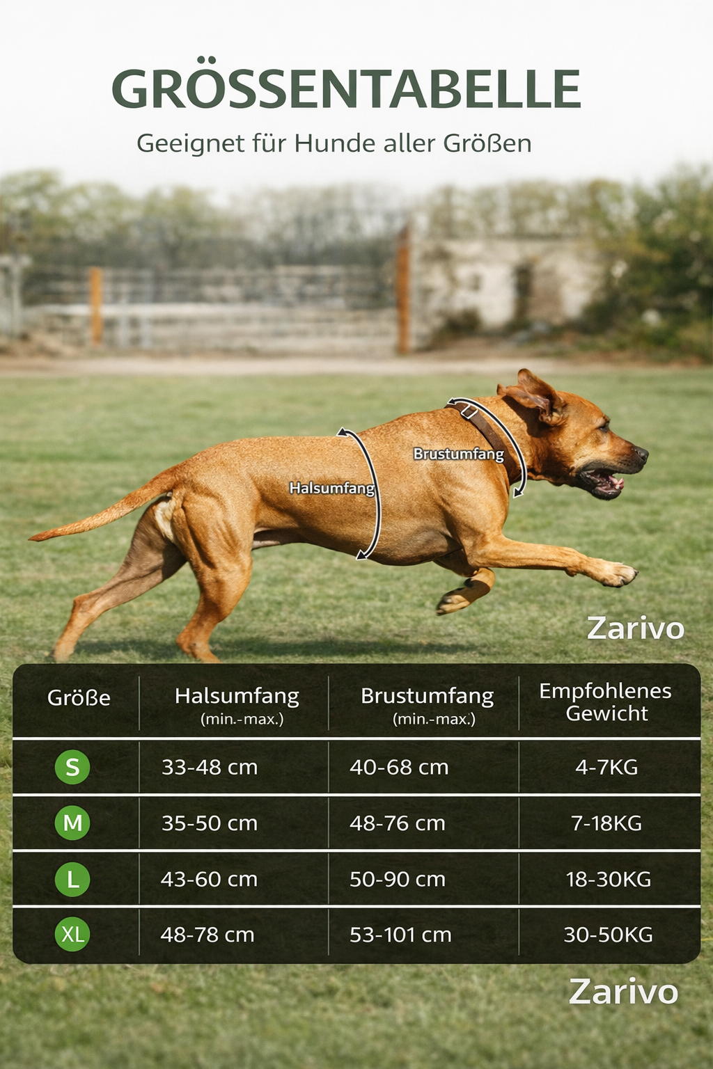 Komfort-Hundegeschirr „No-Pull“ mit Leine