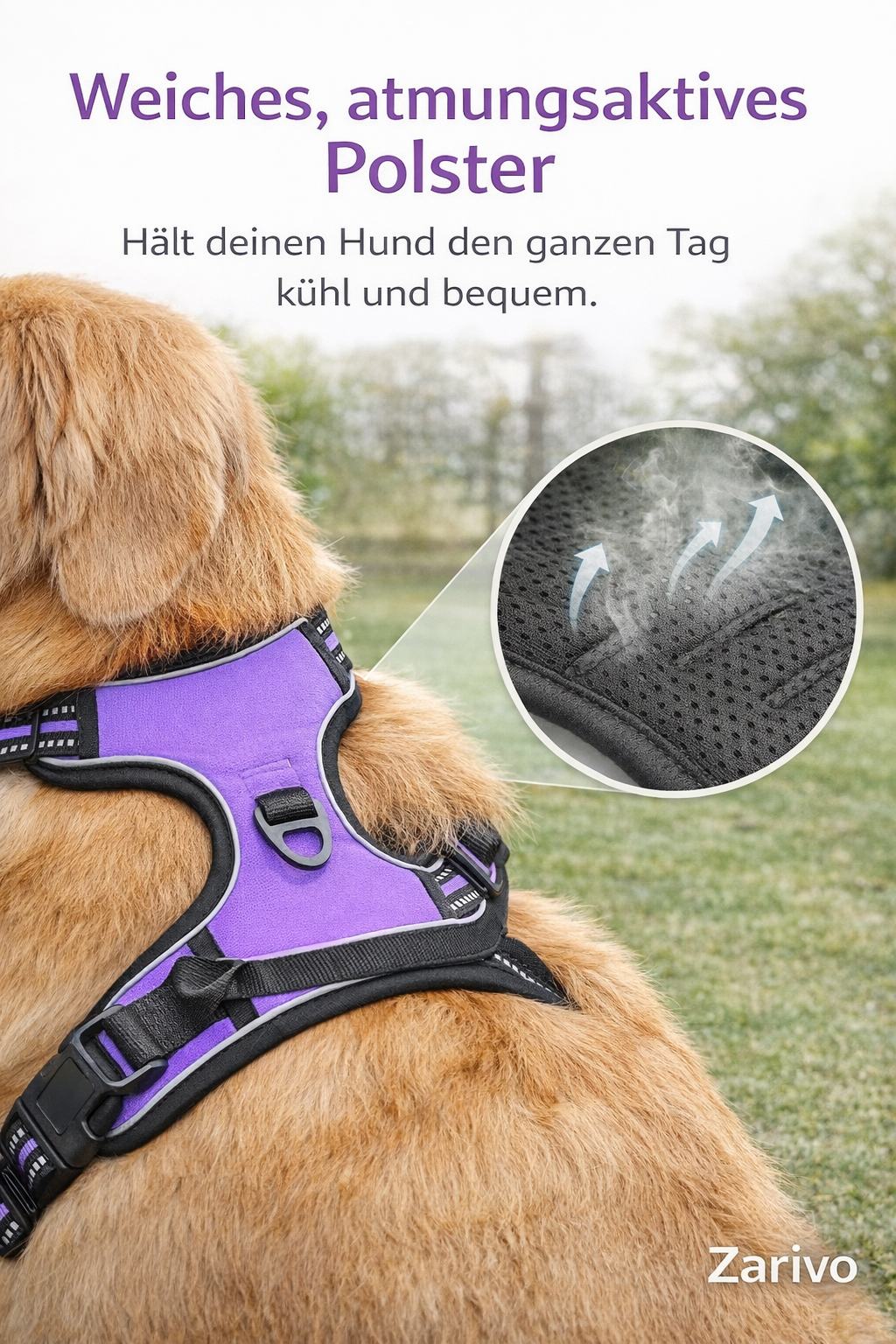 Komfort-Hundegeschirr „No-Pull“ mit Leine