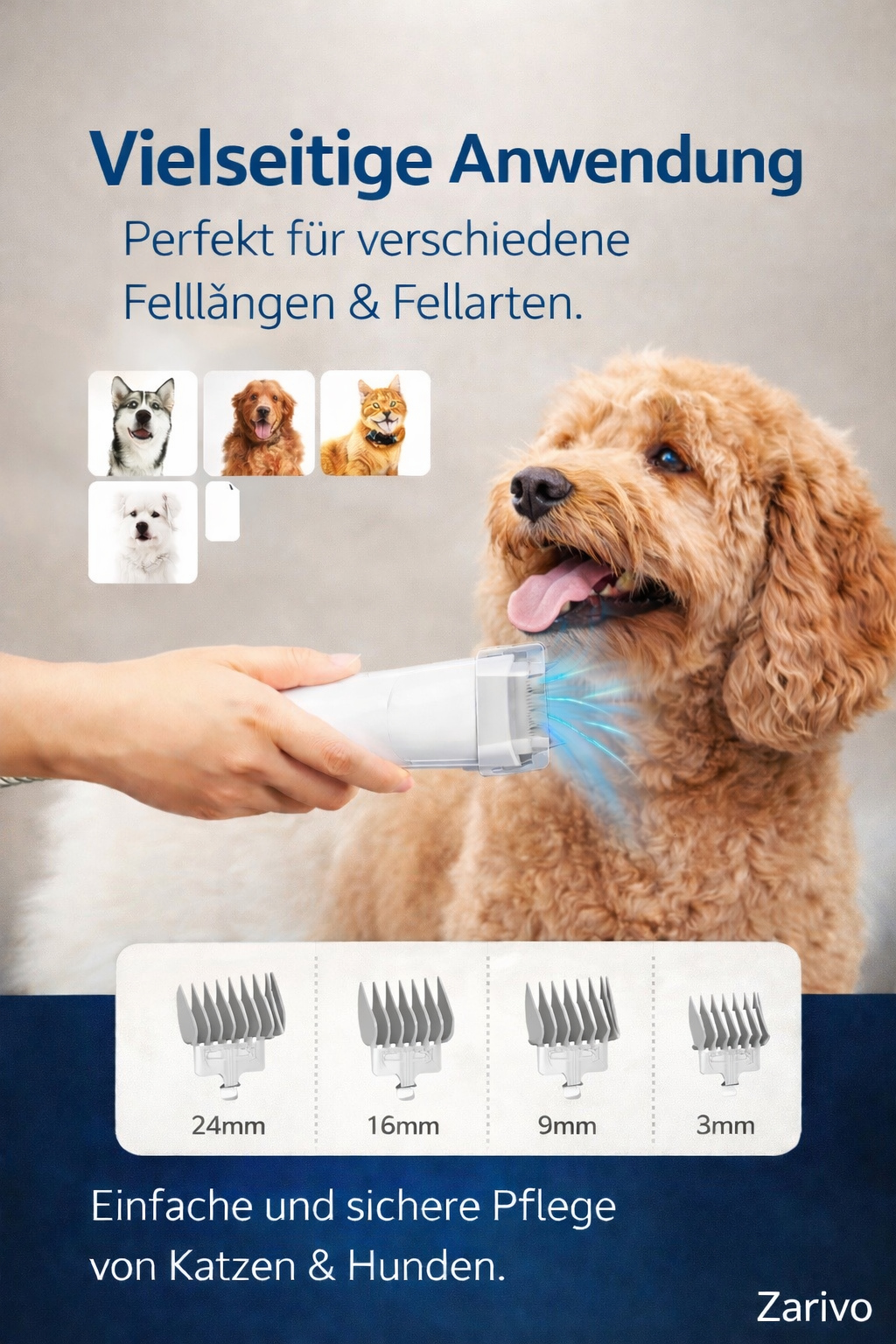 Hunde-Grooming-Kit mit Vakuum (2,5 L)