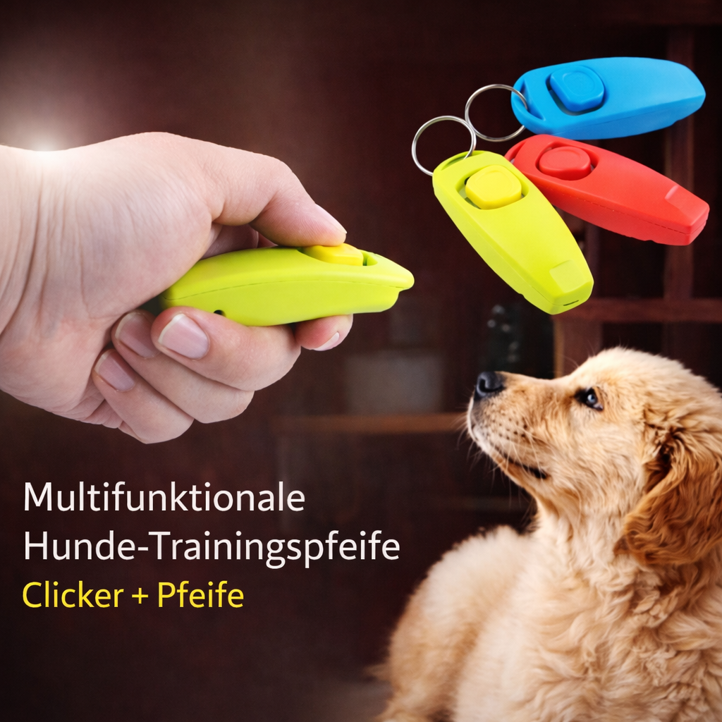 Hundetraining-Pfeife