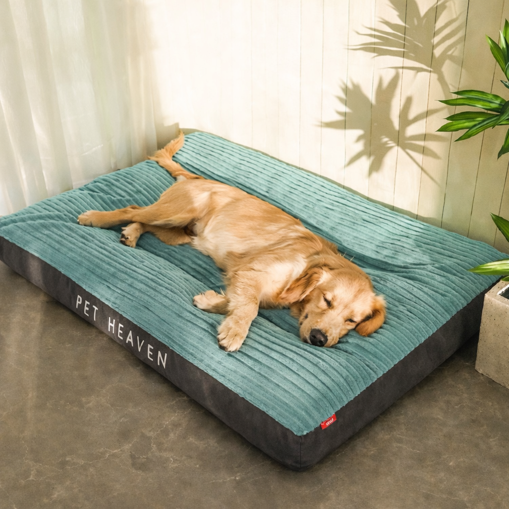 Kuscheliges Hundebett