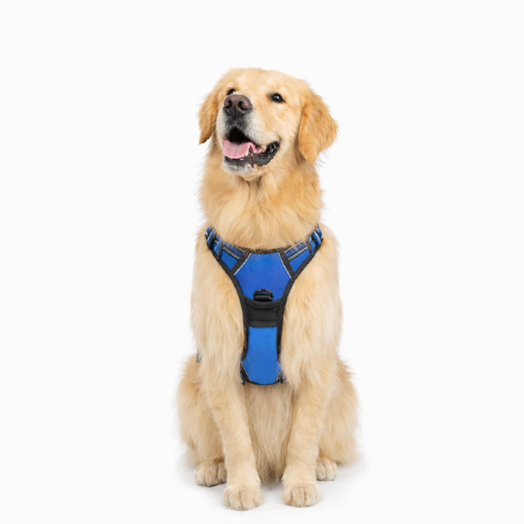 Komfort-Hundegeschirr „No-Pull“ mit Leine