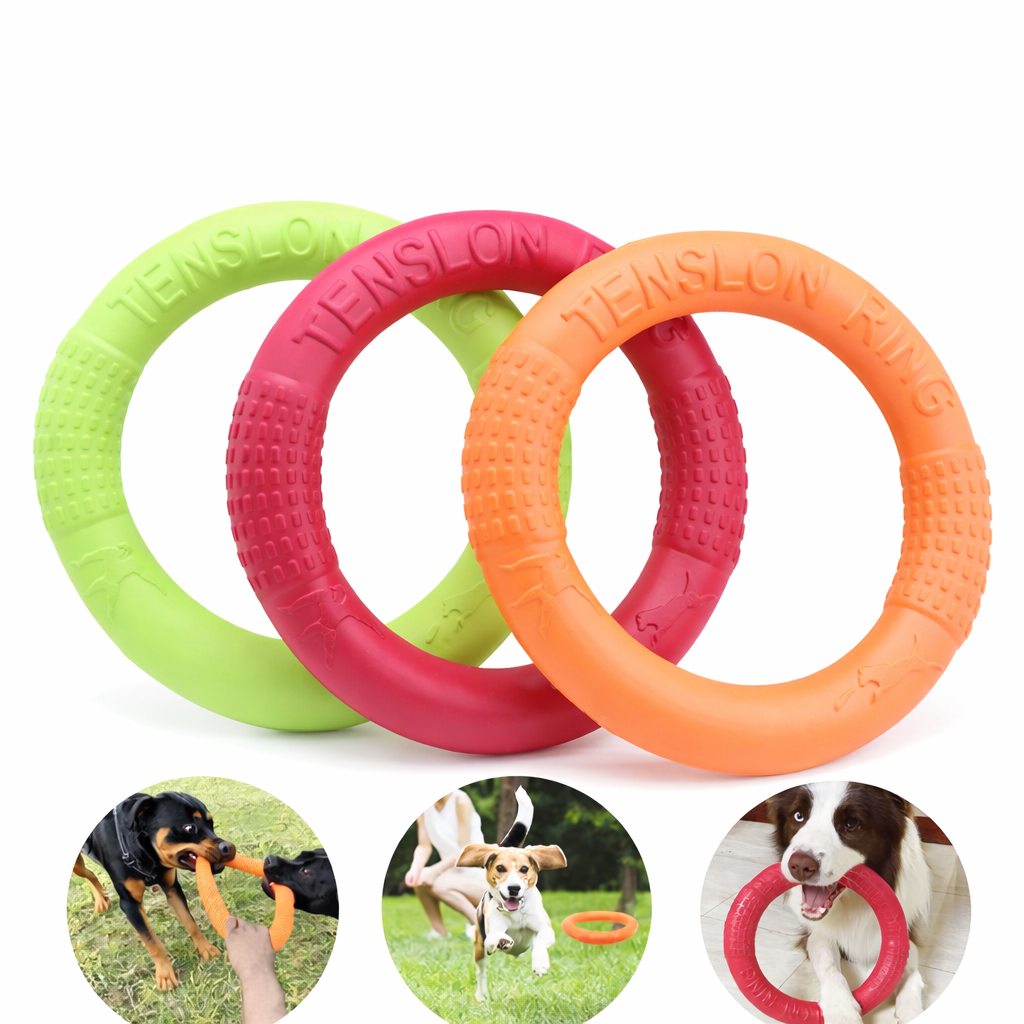 Schwimmender Hunde-Wurfring