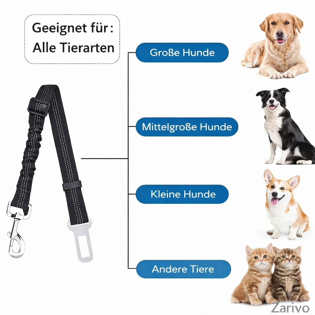 Haustier-Sicherheitsgurt fürs Auto
