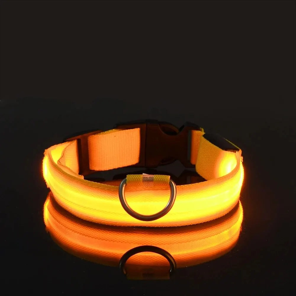 Reflektierendes LED-Hundehalsband