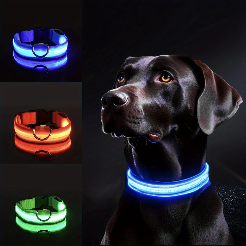 Reflektierendes LED-Hundehalsband