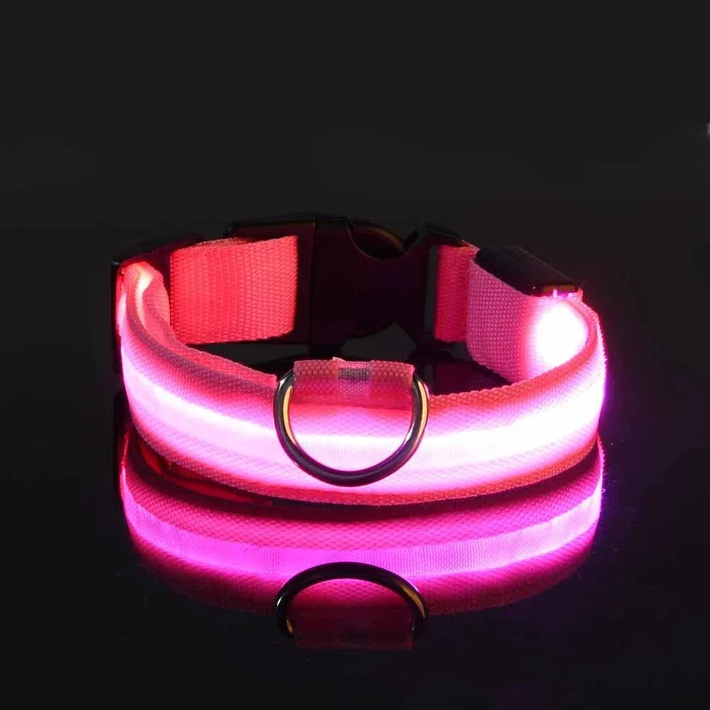 Reflektierendes LED-Hundehalsband